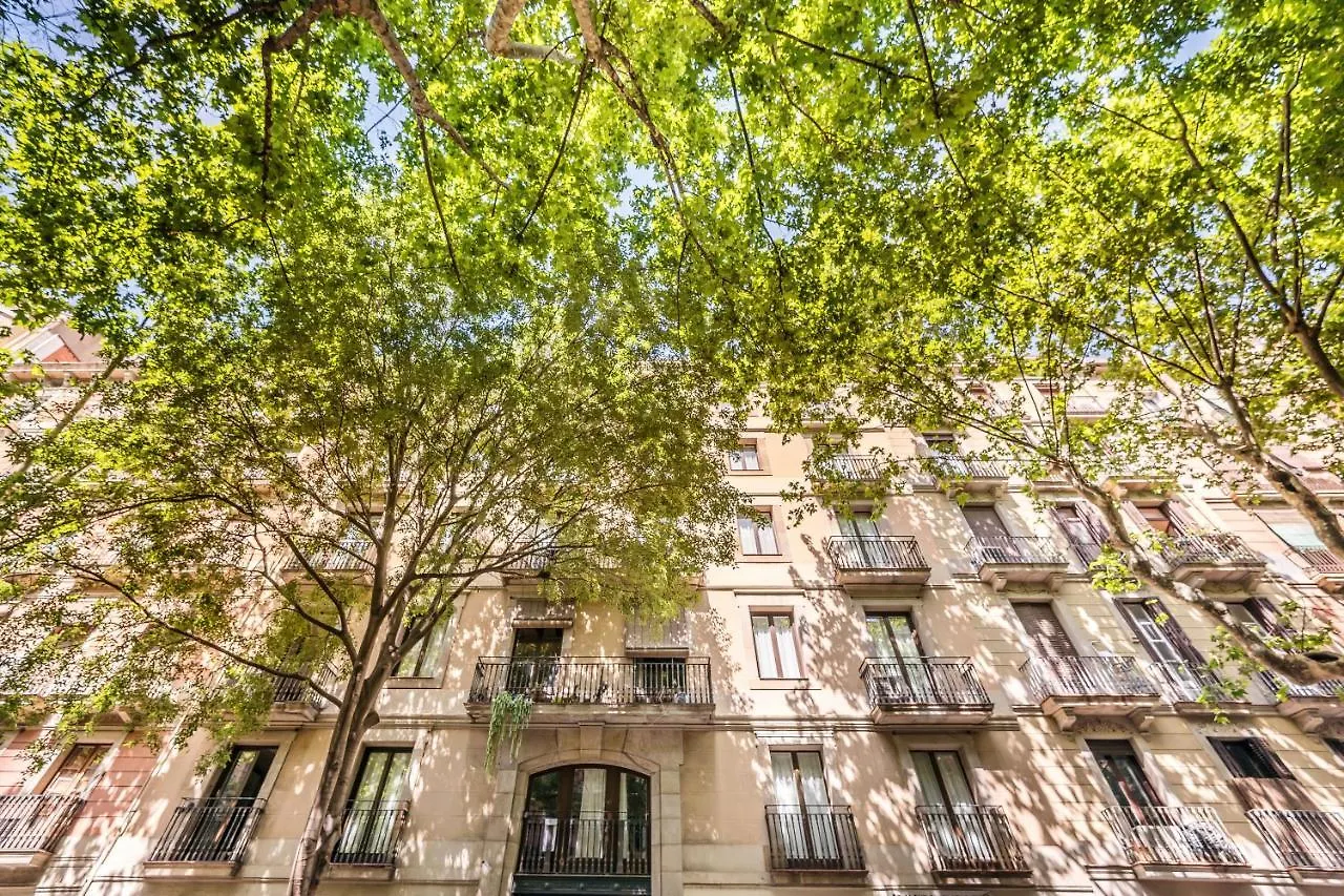 Sweett - Villarroel Barcelona